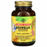 Solgar Boswellia Resin Extract - Экстракт смолы босвеллии