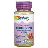 Solaray Products Berberine 500 mg